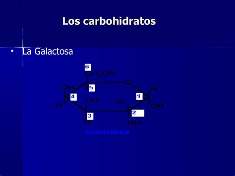 Carbohidratos Y Su Clasificacion By Patricia Marquez Issuu