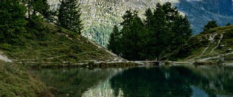Download Wallpaper 2560x1080 Mountains Lake Reflection Trees Nature