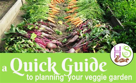 Quick Guide To Planning Your Vegetable Garden Fbpic Homestead Squirrel