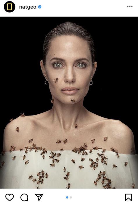 アンジェリーナ・ジョリー、ミツバチに体を覆われたポートレート！“世界ミツバチの日”にお披露目 映画がもっと面白くなる映画情報サイト「ムビッチ」