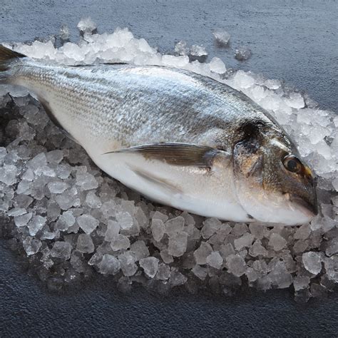 The mediterranean sea is a sea connected to the atlantic ocean, surrounded by the mediterranean basin and almost completely enclosed by land: Fresh Wholefish Sea Bream | Dockside Seafood