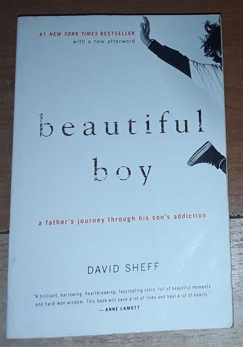 Beautiful Boy David Sheff 72015309