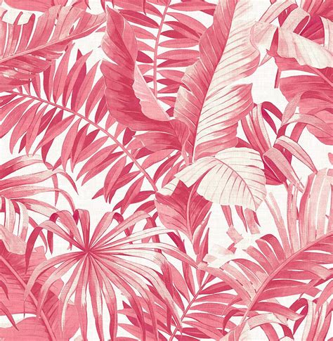 Pink Tropical Leaves Wallpapers Top Free Pink Tropical Leaves