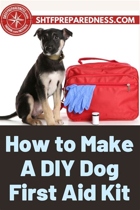 How To Make A Diy Dog First Aid Kit In 2021 First Aid For Dogs First