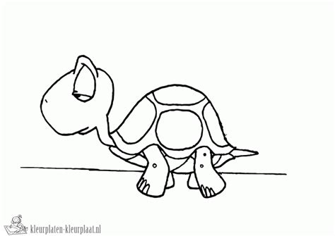 Kleurplaten turtles kleurplatenkleurplaat.nl