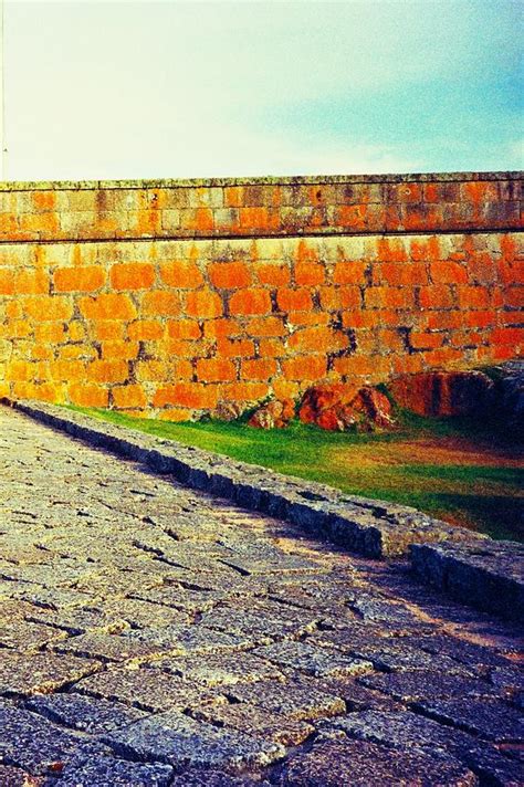 Texture Of The Fort Photograph By Ortiz Claudia Fine Art America