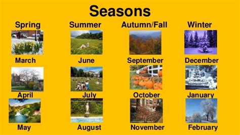 Days Months And Seasons