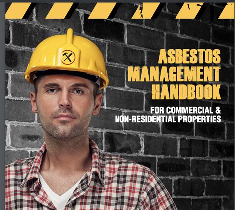 November is National Asbestos Awareness Month | Lupin Systems