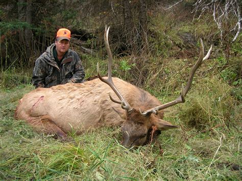 All lands managed by the white river national forest are under stage one fire restrictions. Colorado rifle Elk hunting - Colorado Elk Hunting