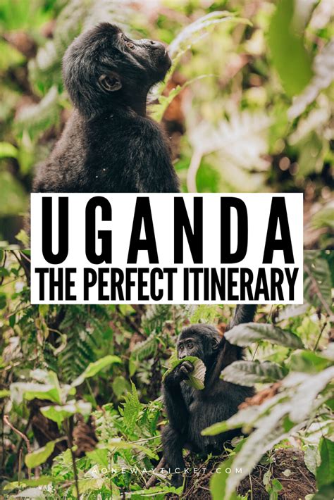Uganda Itinerary How To Visit The Pearl Of Africa A One Way Ticket