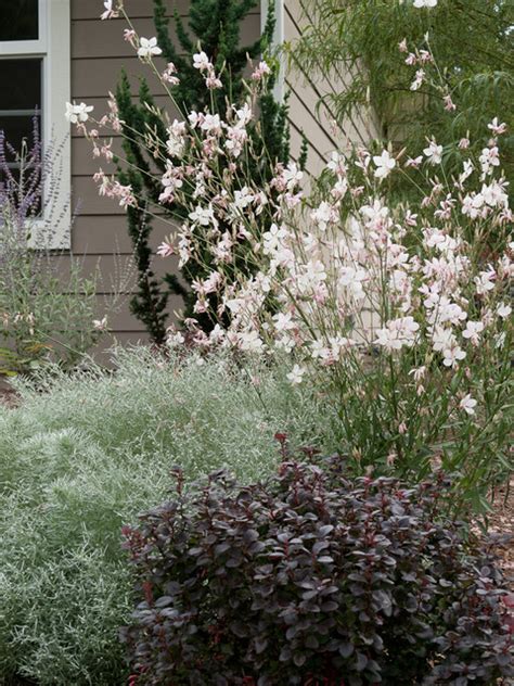 Great Plant Combinations Traditional Landscape Seattle By Le