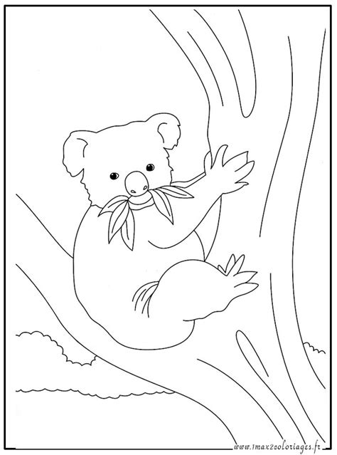14 À Couper Le souffle Coloriage Koala Pics - COLORIAGE