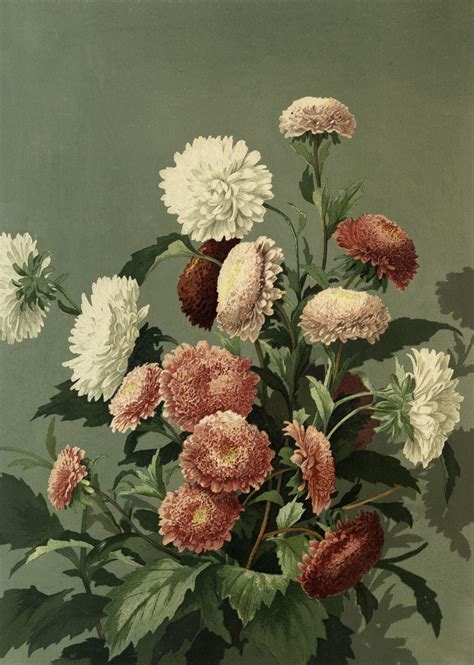 a vase filled with lots of white and red flowers on top of a table next