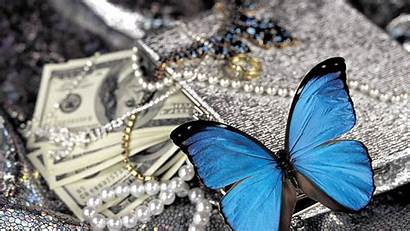 Butterfly Pearls Money Screensavers Wallpapers Resolution 4k