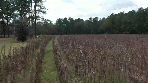 Nc Drought Conditions Worsens