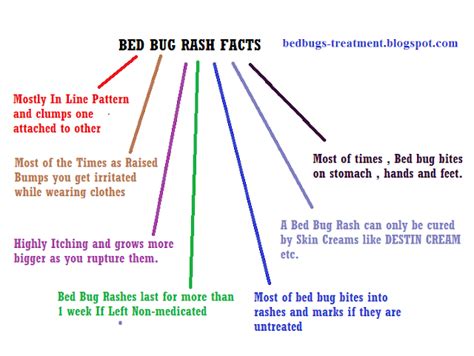 Omg Bed Bug Rash Check Facts And Treatment Bed Bugs Treatment
