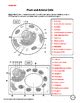 We did not find results for: Plant, Animal, and Bacterial Cells Worksheet by A-Thom-ic ...