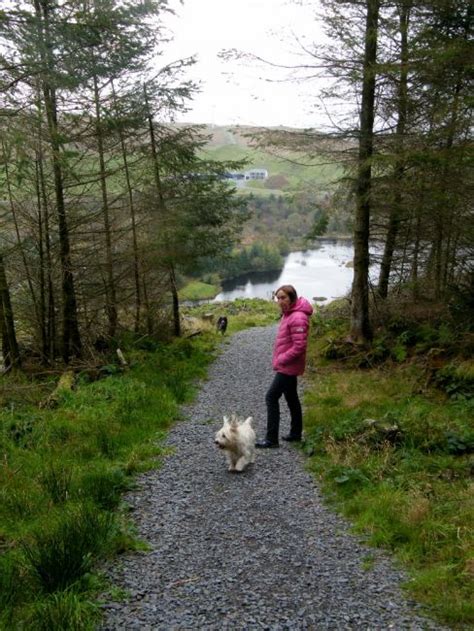Silvan house, 231 corstorphine road, edinburgh eh12. Bwlch Nant yr Arian Forestry visitor centre Outdoor ...