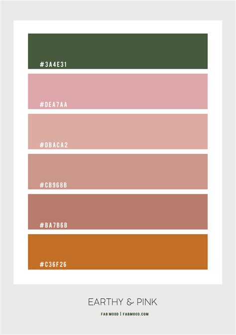 Pink And Earthy Colour Combo Colour Palette 121 Color Palette Pink