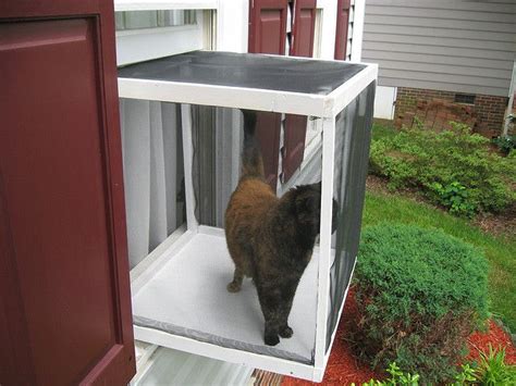Screened Window Box For Cats
