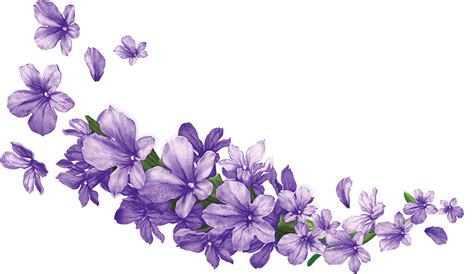 Maybe you would like to learn more about one of these? Orchid clipart lavender, Orchid lavender Transparent FREE ...