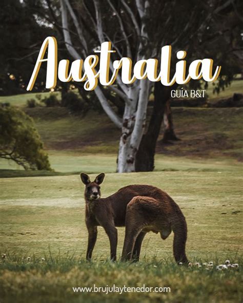 La Guía Definitiva Para Viajar A Australia ¡todo Lo Que Necesitas Saber