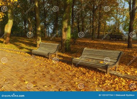 Bench In Autumn Season With Colorful Foliage And Trees Stock Photo