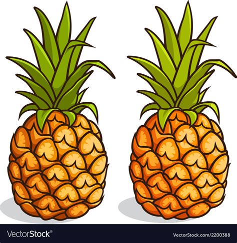 Pineapples Royalty Free Vector Image Vectorstock