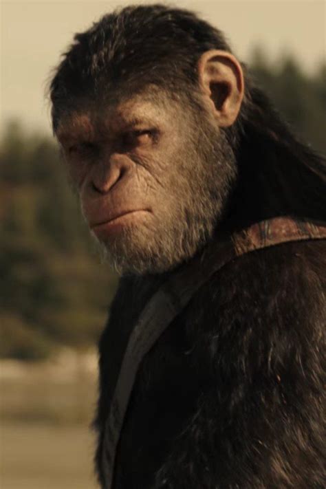 Caesar Faces Execution In The War For The Planet Of The Apes Trailer
