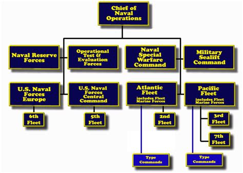 Us Navy Organizational Chart A Comprehensive Guide To Understanding