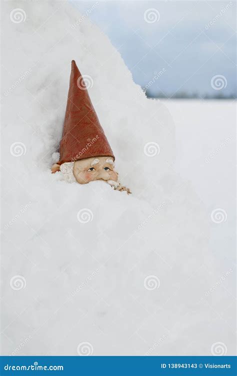 Gnome Buried In Snow Drift On Farm Stock Image Image Of Merry