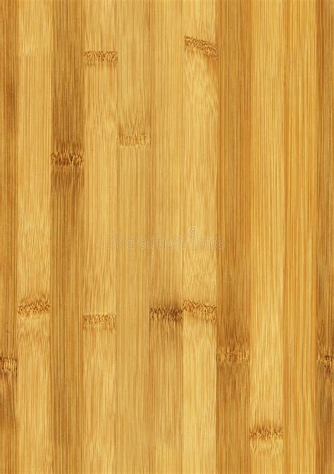Seamless Bamboo Texture Stock Image Image Of Bamboo 149836267