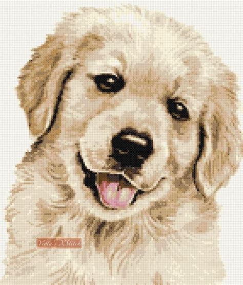 Golden Retriever Puppy Counted Cross Stitch Kit Cross