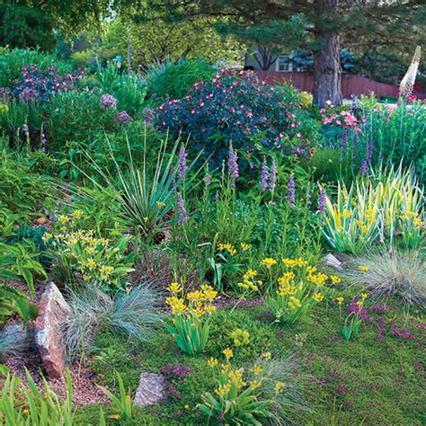 A Water Wise Garden That Wows Finegardening