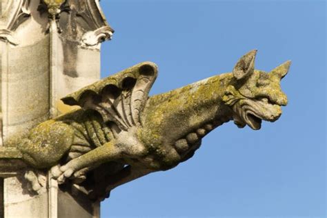 Les Gargouilles De La Cathédrale De Troyes Par Frédérique Behl Sur L