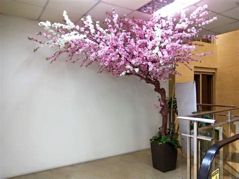 Cherry Blossom Tree For Sale Philippines Buy And Sell Marketplace