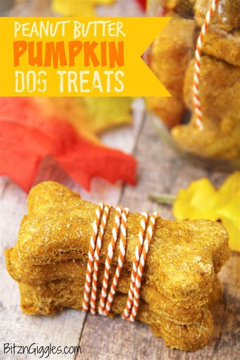 Mix eggs, banana and pumpkin together. Peanut Butter Pumpkin Dog Treats | Pumpkin dog treats, Dog ...