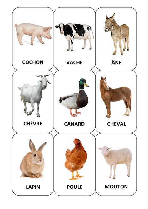 Cartes Animaux De La Fermedocx Docdroid