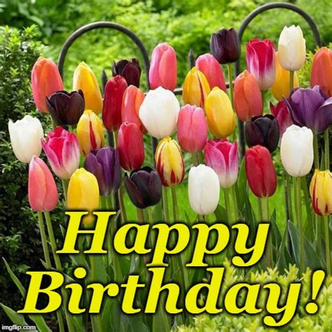 Take wishes from happy birthday meme and send it to your special one. tulips Memes & GIFs - Imgflip