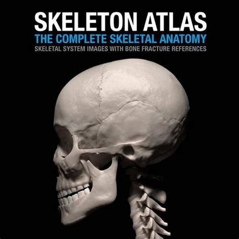 Skeleton Atlas The Complete Skeletal Anatomy Skeletal System Images