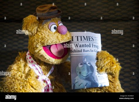 Muppets Most Wanted Fozzie Bär Konstantin Im Foto 2014 Ph Jay