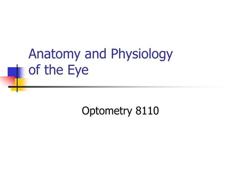Ppt Anatomy And Physiology Of The Eye Powerpoint Presentation Free