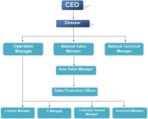 Ceo Hierarchy Chart Learn Diagram