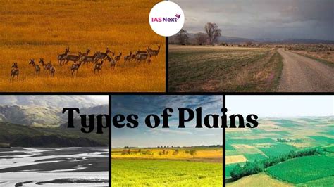 Types Of Plains