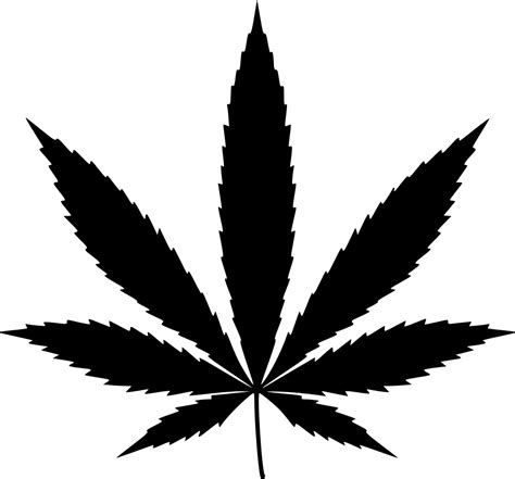 Marijuana Bw Svg Png Icon Free Download (#562333) - OnlineWebFonts.COM