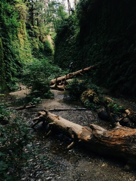 This includes directions, what to bring, how to capture. Fern Canyon, Prairie Creek Redwoods State Park, California ...