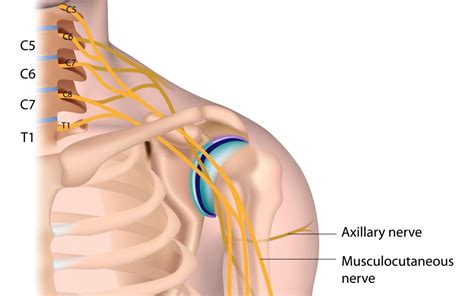 Shoulder Dystocia And Two Possible Injuries It Can Cause Boston Law