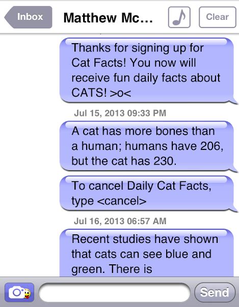 Cat Facts Text Prank