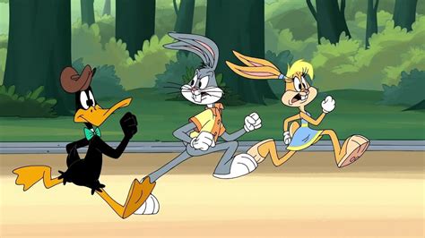 Dvd Looney Tunes Rabbits Run Unboxing Youtube
