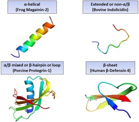 Molecules Free Full Text The Role Of Antimicrobial Peptides As